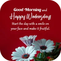 Wednesday Morning Greetings